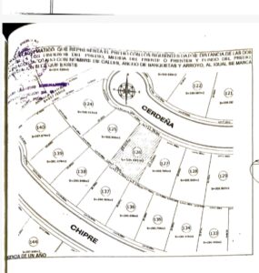 WhatsApp Image 2025 05 02 at 11.18.05 AM 1